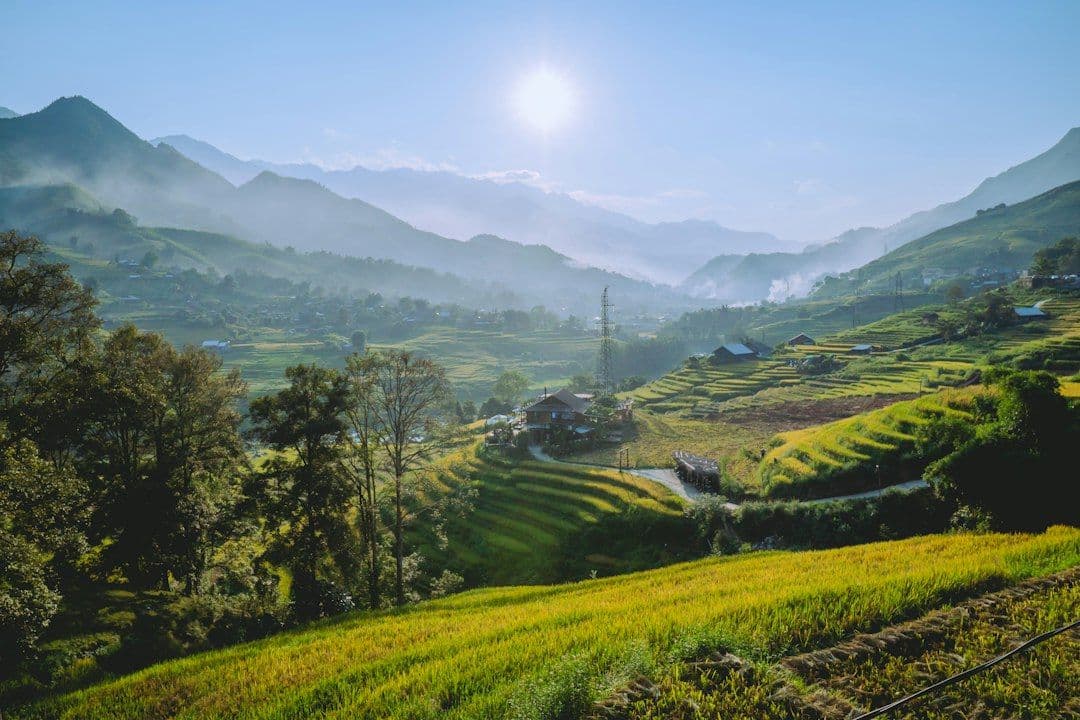 Best Time to Visit Vietnam: A Month-by-Month Guide